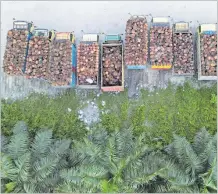  ?? Picture: REUTERS/WILLY KURNIAWAN ?? Trucks with palm oil fresh fruit bunches are parked in a queue at a palm oil factory in Siak regency, Riau province, Indonesia.