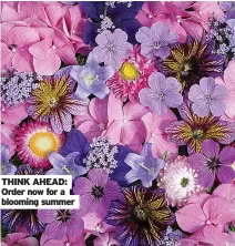  ?? ?? THINK AHEAD: Order now for a blooming summer