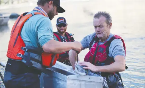  ?? —FORESTS, LANDS, NATURAL RESOURCE OPERATIONS AND RURAL DEVELOPMEN­T ?? Workers at a rock slide near Lillooet radio tag salmon, part of work that included building a fish ladder to help spawning fish move up the Fraser River last year.