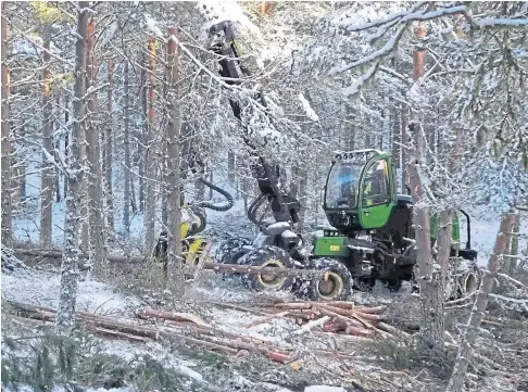  ??  ?? CHILLY WORK: Forestry operations on the Seafield and Strathspey Estates were delayed by the heavy snowfall.