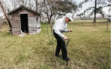  ?? Elizabeth Conley / Houston Chronicle ?? Jerome Matula walks near a shed that houses the family’s first well, recently discovered to contain unsafe levels of dioxin. The Matulas drank from the well for decades, though they now have a newer one.