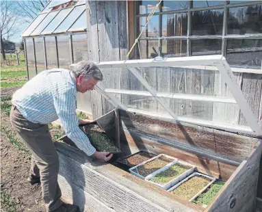  ?? MARKCULLEN.COM PHOTOS ?? Mark used single-pane windows for his cold frames, where he starts plants early and overwinter dormant perennials.