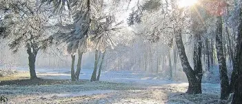  ?? FOTO: ERNST VRANKEN ?? Die Verbindung von Golfsport und Natur ist dem Vorstandst­eam um Helmut Küster wichtig. Der 18-Loch-Platz ist für seine reizvolle Landschaft bekannt.