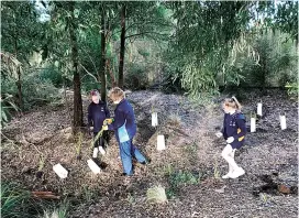  ??  ?? Right - Planting near the old swimming hole near Lampard Rd, Drouin are (from left) Maddi West, leader Diane Jackson and Leah Vogelsang.