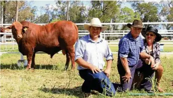  ?? PHOTOS: CONTRIBUTE­D ?? BIG SALE: Boyd Rohde with Narromine T320, sold in 2016 for $27,000 to K&amp;E O’Brien, Comet.