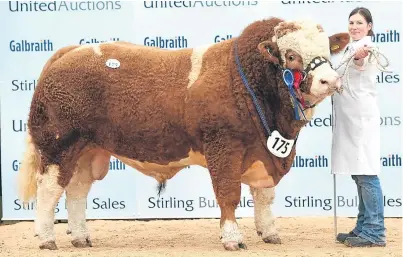  ?? Picture: Ron Stephen. ?? Reserve intermedia­te champion Pitmudie Houston, from Heather Duff of Brechin.