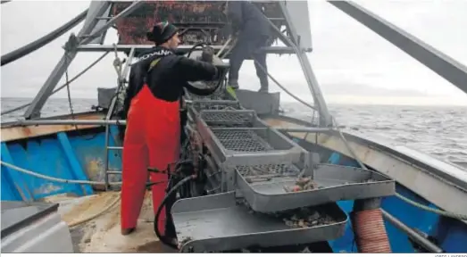  ?? JORDI LANDERO ?? Dos tripulante­s de una embarcació­n de la flota de draga hidráulica onubense, en plena faena para la captura de la chirla.