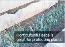  ??  ?? Horticultu­ral fleece is great for protecting plants