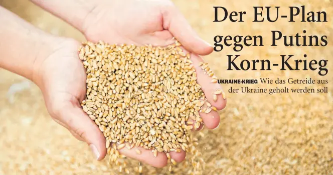  ?? Dpa-BILD: Spata ?? In der Ukraine gibt es Weizen ohne Ende – aber heraus aus dem Kriegsland kommt er nur schlecht. Das soll sich ändern.