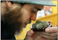  ?? AP/STEVEN SENNE ?? Julian Clark of Westerly, R.I., smells a strain of marijuana flowers called Cookie Pebbles at a trade show in Worcester, Mass., last year.