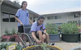  ??  ?? BELOW A student grows plants in a wheelchair with the help of a friend. Each student has to experience life in a wheelchair to understand the difficulti­es of people with disabiliti­es.