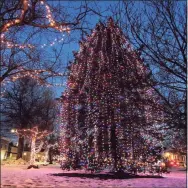  ?? Christian Abraham / Hearst Connecticu­t Media file photo ?? A view of one of the trees lit up for Christmas on the Milford Green in downtown Milford last year.