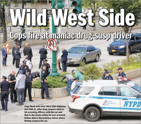  ??  ?? Cops flood area near West Side Highway and 50th St. after drug suspect tried to hit arresting officers with his car and fled to the Bronx where he was arrested. Below, Marco Barreniche­a shows where fleeing suspect his car.