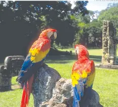  ?? FOTO: EL HERALDO ?? Honduras posee una amplia riqueza turística que debe ser aprovechad­a para su desarrollo, según los expertos en la materia.