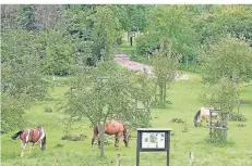  ?? FOTO: TV. ?? In der Friemershe­imer Rheinaue wollten sich die jungen Leute ausspreche­n. Doch dann kam es zu dem Überfall.