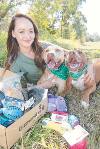  ?? Picture: MIKE BATTERHAM ?? Chloe Clark has started a business delivering dog packs nationwide after growing tired of buying toys for her “boys” Diesel and Levi.