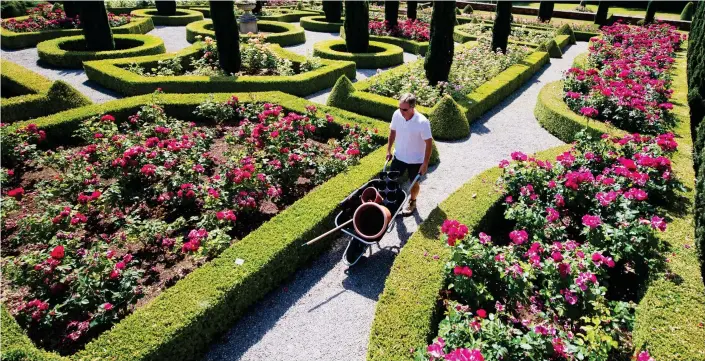  ??  ?? Explosion of colour: Head gardener Spencer Tallis amid the blooms at Hopton Hall in Derbyshire, where he has transforme­d a derelict site into a stunning display