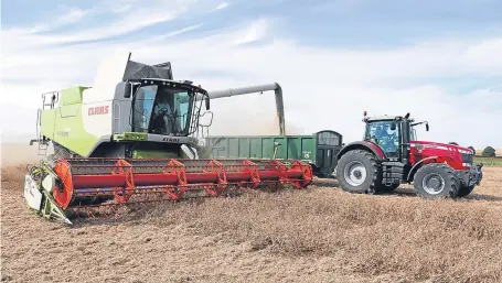  ??  ?? LG Stallion peas being harvested by farmer Tim Lamyman to break the world yield record.