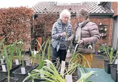  ?? RP-FOTO: JKN ?? Die Freude an Schneeglöc­kchen lockte Blumenfreu­nde zum letzten Mal in den Garten von Marlu Waldorf (l.). Sogar aus England kamen Käufer.