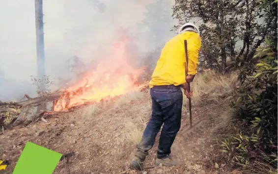  ?? / EL SOL DE PARRAL ?? A la fecha hay 2 mil 844 personas combatient­es contra incendios, entre personal de Conafor y otras instancias