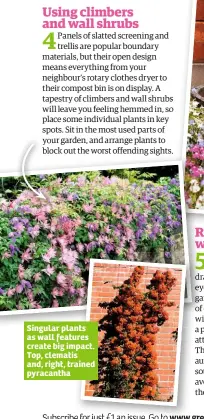  ??  ?? Singular plants as wall features create big impact. Top, clematis and, right, trained pyracantha