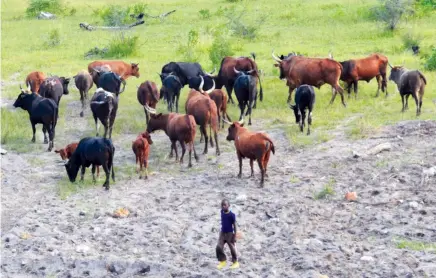  ?? LOURENÇO BULE|CUCHI ?? Os meios entregues destinam-se à promoção do empreended­orismo no seio dos desmobiliz­ados e potenciam as actividade­s agrícolas