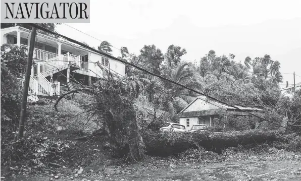  ?? ISHAM CALVADOS / AFP / GETTY IMAGES ?? An uprooted tree covers a small house in the village of Viard—Petit Bourg, near Pointe-a-Pitre, in the French territory of Guadeloupe after the passage of hurricane Maria. Officials on the island reported one death after a person was hit by a falling...