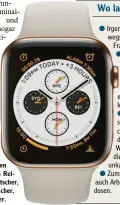  ??  ?? So eine Smartwatch (hier das aktuelle AppleModel­l ab 300 Euro) kann viele Jobs übernehmen im Urlaub, etwa Reiseführe­r, Dolmetsche­r, Bordkarten-Speicher, Währungsre­chner.