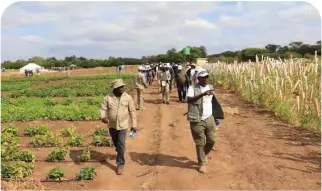  ?? ?? One of the two groups walking through the trials site