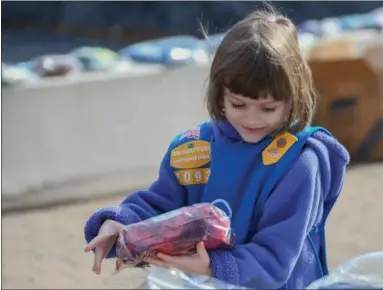  ?? ERIC BONZAR —THE MORNING JOURNAL ?? Six-year-old Evelyn Summers, of Elyria Girl Scouts Daisy Troop 50933, places packaged garments throughout Ely Square, 100 Middle Ave., as part of Invest Elyria’s third annual Warm Up Elyria event Feb. 20.