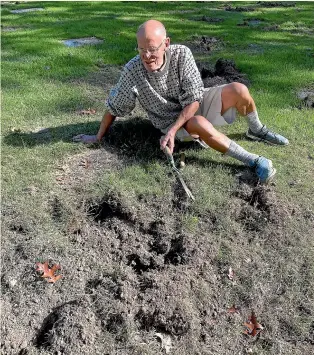  ??  ?? John Coombs was visiting his wife’s grave at Marsden Valley Cemetery when he noticed that the burial area had been damaged by wild pigs rooting for food. He wants the Nelson City Council to build a fence to keep pest animals out.