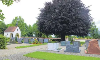  ?? FOTO: FELIX GABER ?? Der Friedhof in Ingerkinge­n soll zum Teil neu gestaltet werden und ein Urnengrabf­eld geschaffen werden, das den Baum in zwei Halbkreise­n umgibt.