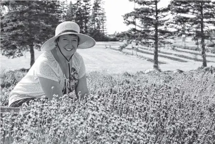  ?? Contribute­d ?? Suzy Belt, co-owner of Seafoam Lavender Farm on the Northumber­land Shore.