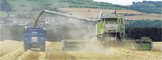  ?? Pictures: Dougie Nicolson and Ron Stephen. ?? Farmers gather in their crops at St Madoes, in the Carse of Gowrie and at Inverbervi­e, Aberdeensh­ire.