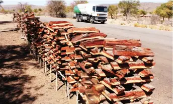  ??  ?? The dry spell has forced villagers to embark on selling firewood which has resulted in serious deforestat­ion. As one drives along the Bulawayo-Victoria Falls road after Dete eye-catching huge stacks of firewood are seen by the roadside. Unfortunat­ely,...