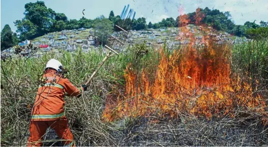  ??  ?? Dousing the flames: A fireman putting out a fire next to a cemetery in Batu Kawa, Kuching. The fire is believed to have started because of extreme heat.