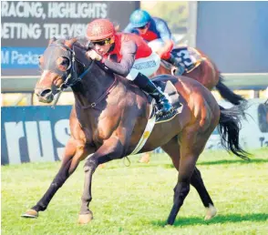  ?? JC PHOTOGRAPH­ICS ?? Bold Coast is making the most of his retirement job down in Port Elizabeth and could be adding to his tally of six career wins. /