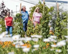  ?? Foto: Patty Varasano ?? So macht das Flanieren besonders Spaß. Zwischen viel Grün und Blumen kommt die Entspannun­g nicht zu kurz.