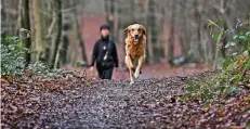  ?? FOTO: MARKUS VAN OFFEREN ?? Hunde dürfen auch im „normalen“Wald ohne Leine laufen – allerdings die befestigte­n Wege dabei nicht verlassen.