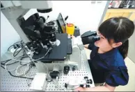  ?? GUO XULEI / FOR CHINA DAILY ?? A technician works on an experiment at the Shandong Internatio­nal Biotechnol­ogy Park’s biological center.