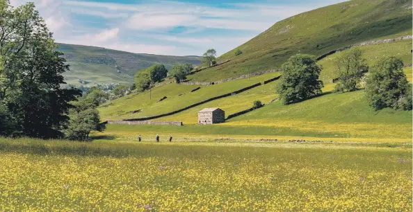  ?? ?? SELLING A DREAM: Top, Muker in Swaledale; below, the team from Marcus Alderson estate agents who star in Dales for Sale; estate agent Richard Thompson at work and home hunters Michael Griffin and William Forde.