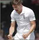  ??  ?? ELEVENSES: Chris Woakes has now taken 11 wickets during the first Test