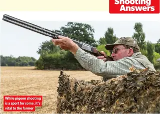  ??  ?? While pigeon shooting is a sport for some, it’s vital to the farmer