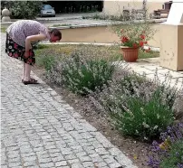  ?? AFP ?? A woman with autism symptoms looks at flowers at state-run, mental health care home care in Ruskie Piaski —