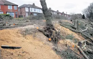 ??  ?? ●●Poleacre Lane residents are very angry that Network Rail are cutting down all the trees on one of the railway embankment­s