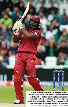  ?? Picture: David Rogers/Getty Images & Ben Tinkler-Davies / SWNS ?? Big-hitting batsmen like the West Indies’ Chris Gayle could strike the ball even harder with bamboo bats according to researcher­s such as Ben Tinkler-Davies, pictured below, with a prototype bat made from the material
better known as the staple food of pandas