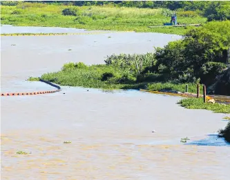  ?? ARCHIVO /ADN ?? El reciente derrame de aceite combustibl­e prendió las alarmas sobre la necesidad de cuidar el río.