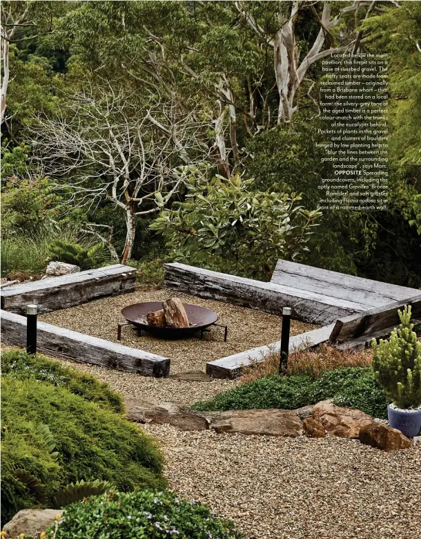  ??  ?? Located below the main pavilion, this firepit sits on a base of riverbed gravel. The hefty seats are made from reclaimed timber – originally from a Brisbane wharf – that had been stored on a local farm: the silvery-grey tone of the aged timber is a perfect colour-match with the trunks of the eucalypts behind. Pockets of plants in the gravel and clusters of boulders fringed by low planting help to “blur the lines between the garden and the surroundin­g landscape”, says Marc. OPPOSITE Spreading groundcove­rs, including the aptly named Grevillea ‘Bronze Rambler’ and soft grasses including Ficinia nodosa sit in front of a rammed-earth wall.