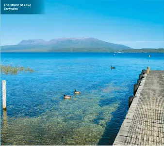  ??  ?? The shore of Lake Tarawera