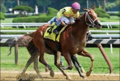  ?? PHOTO COURTESY NYRA ?? Bonita Bianca with Manuel Franco aboard overshadow­s Swing and Sway with Javier Castellano aboard on the rail Wednesday at Saratoga Race Course in The Union Avenue.